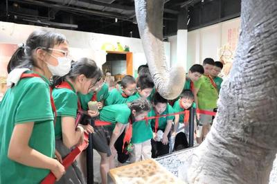 揭秘自然來信，共建綠色家園 | 青少年科學講壇引領自然探索新風尚